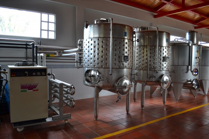 cave-BRUE AURIAC-min_wine_production_cantine_winery_drink_alcohol_vine_beverage-902036